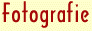 fotografie_txt.gif (914 bytes)